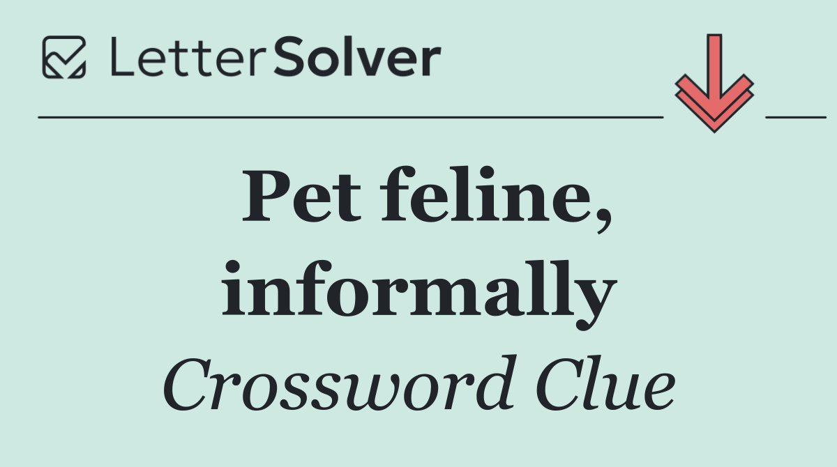 Pet feline, informally