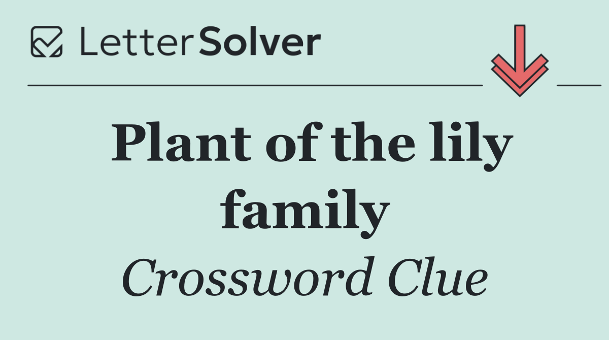 Plant of the lily family