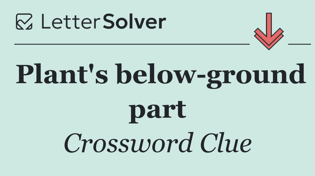 Plant's below ground part