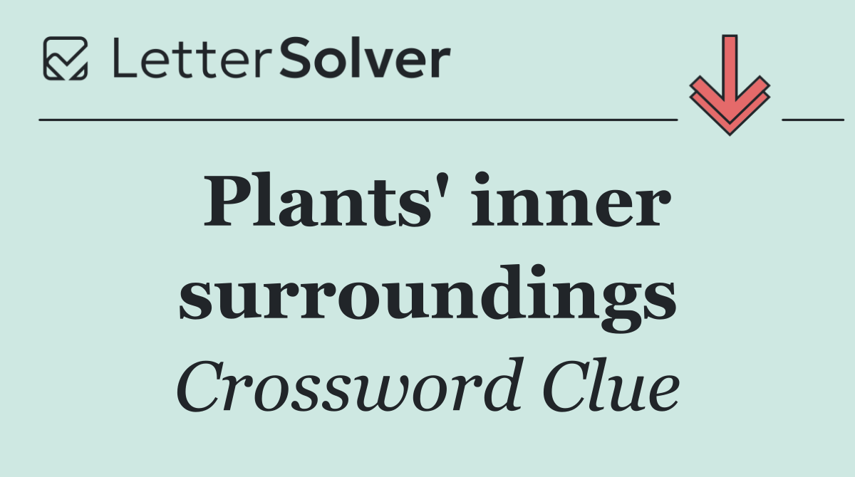Plants' inner surroundings