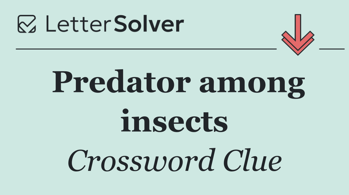 Predator among insects