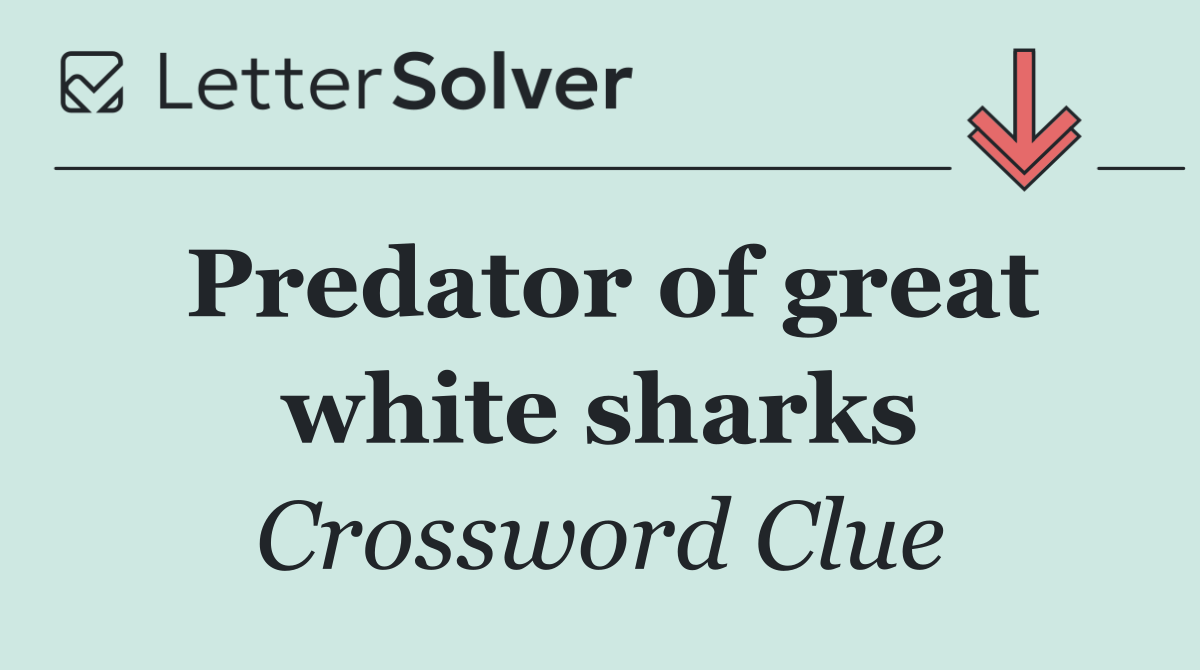 Predator of great white sharks