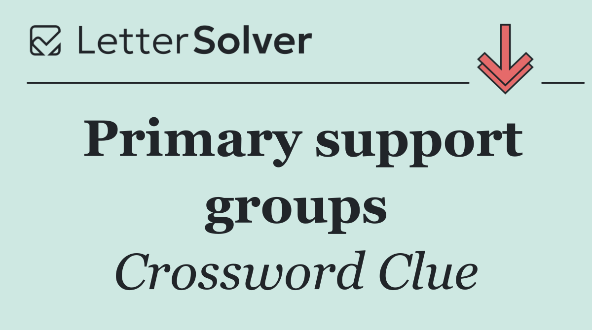 Primary support groups