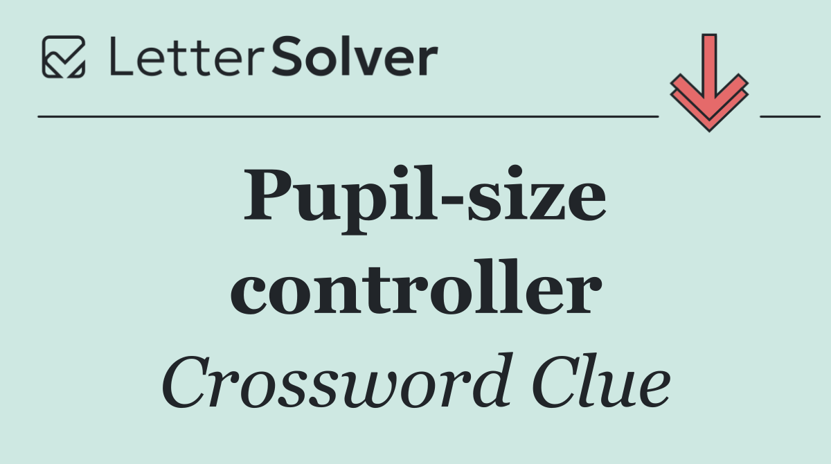 Pupil size controller