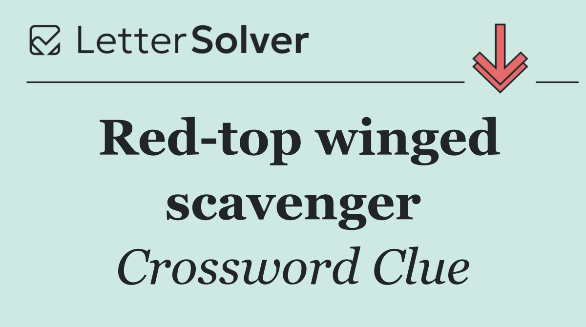 Red top winged scavenger