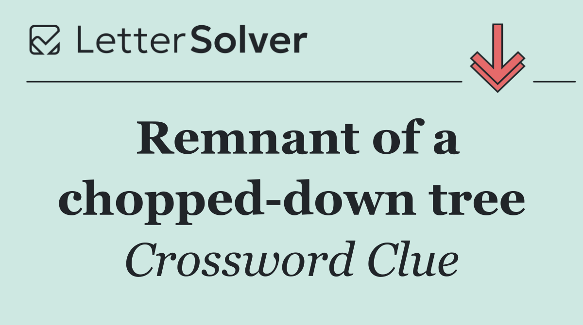 Remnant of a chopped down tree