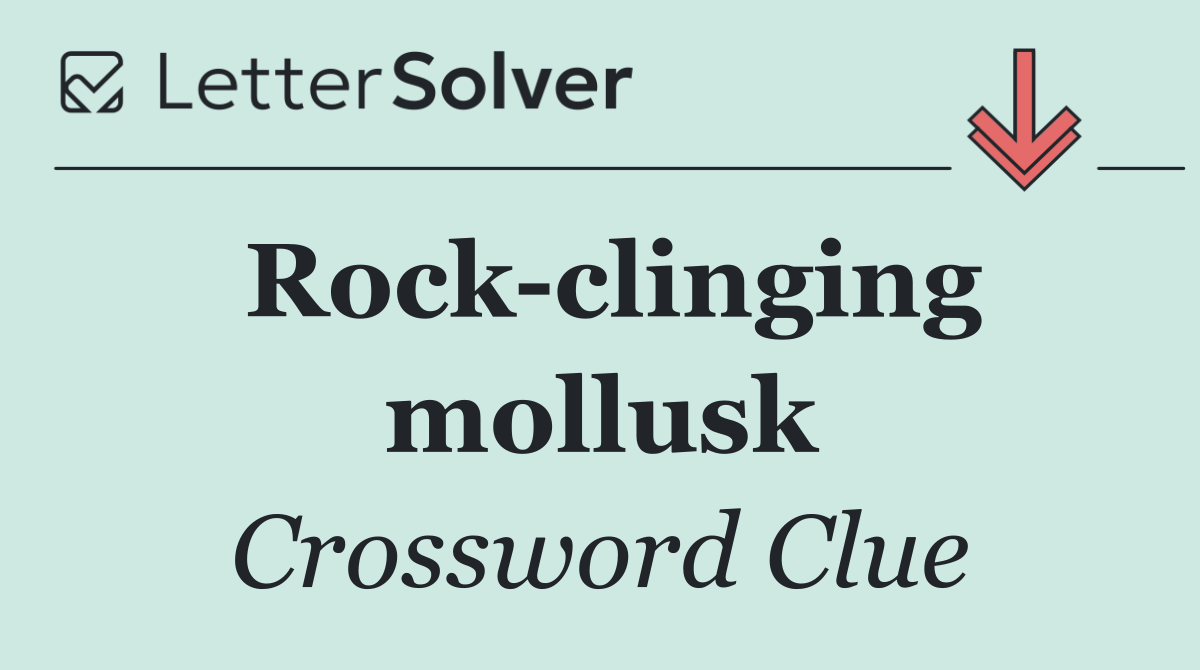 Rock clinging mollusk
