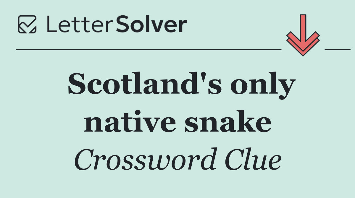 Scotland's only native snake