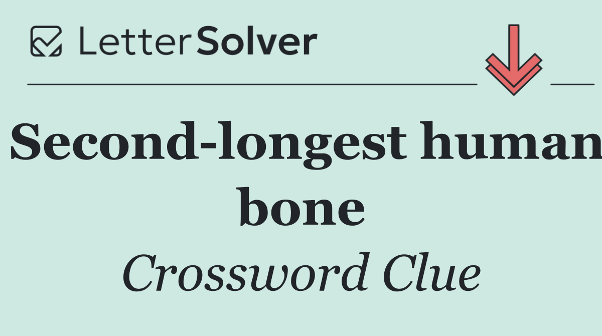 Second longest human bone