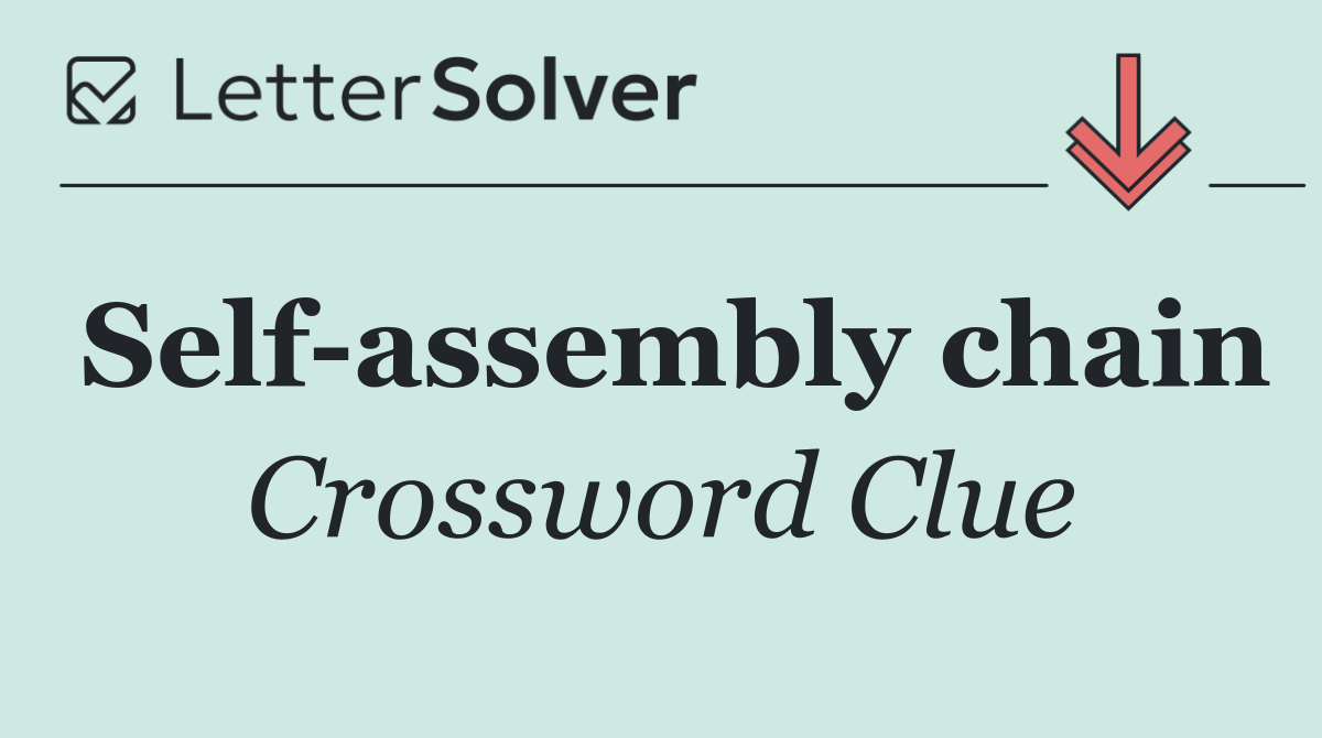 Self assembly chain