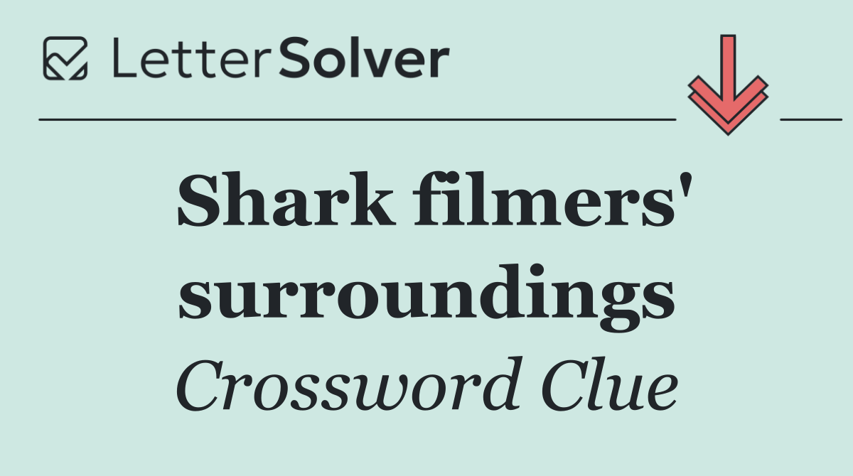 Shark filmers' surroundings
