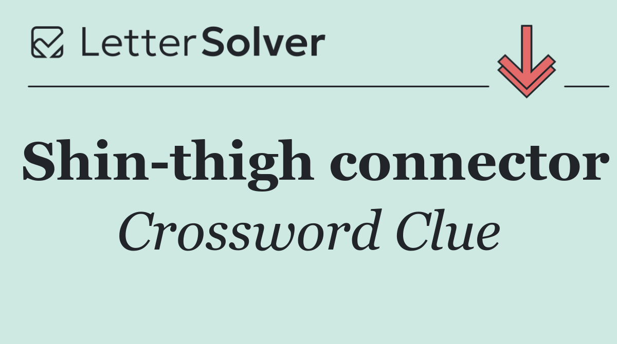 Shin thigh connector