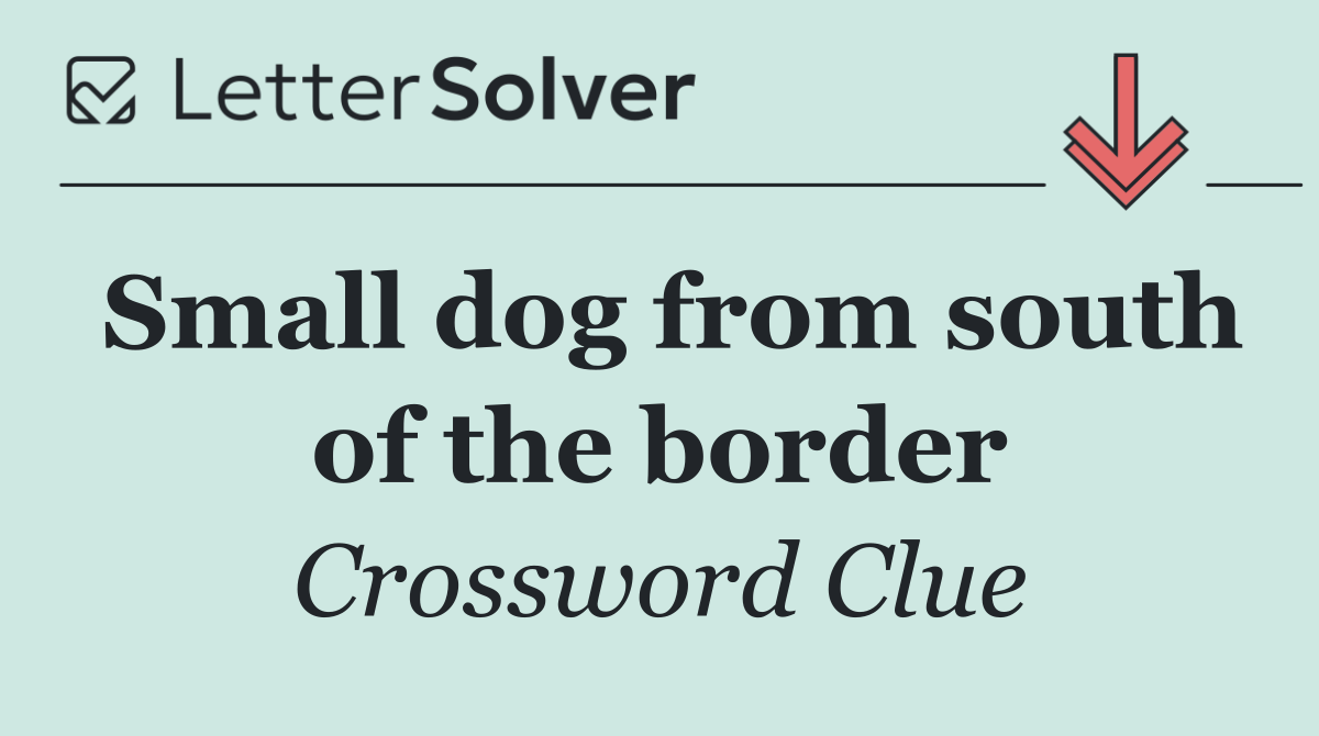 Small dog from south of the border