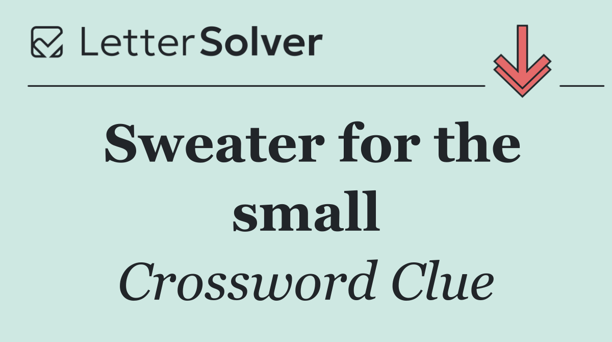 Sweater for the small