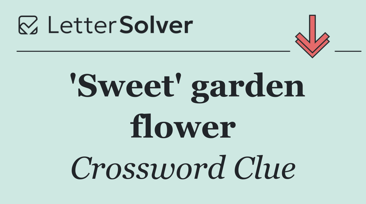 'Sweet' garden flower