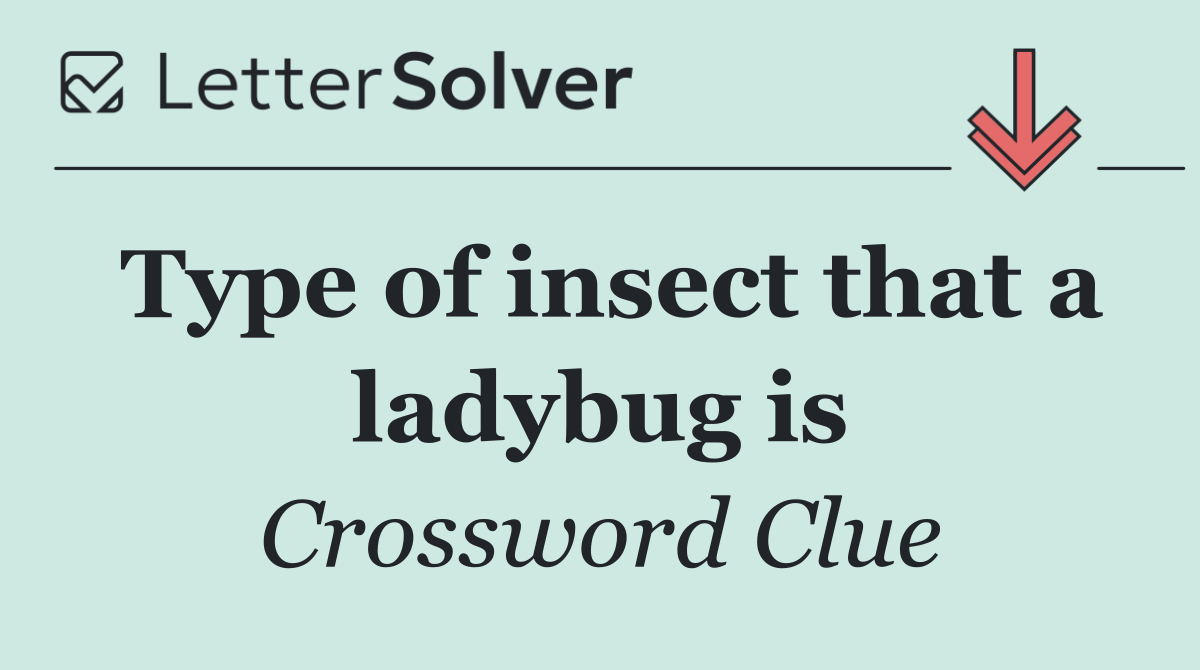 Type of insect that a ladybug is