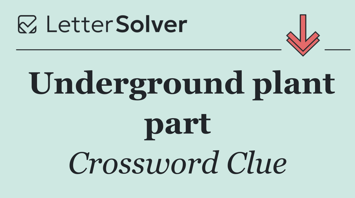 Underground plant part