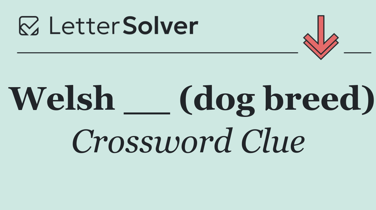 Welsh __ (dog breed)