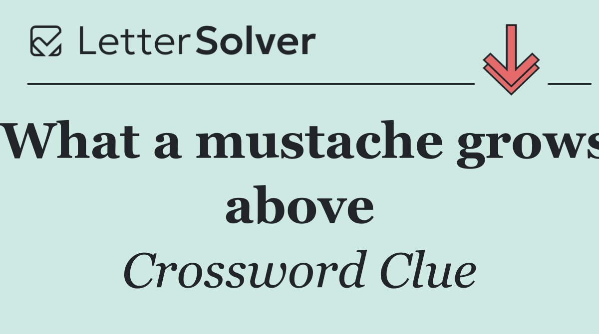 What a mustache grows above