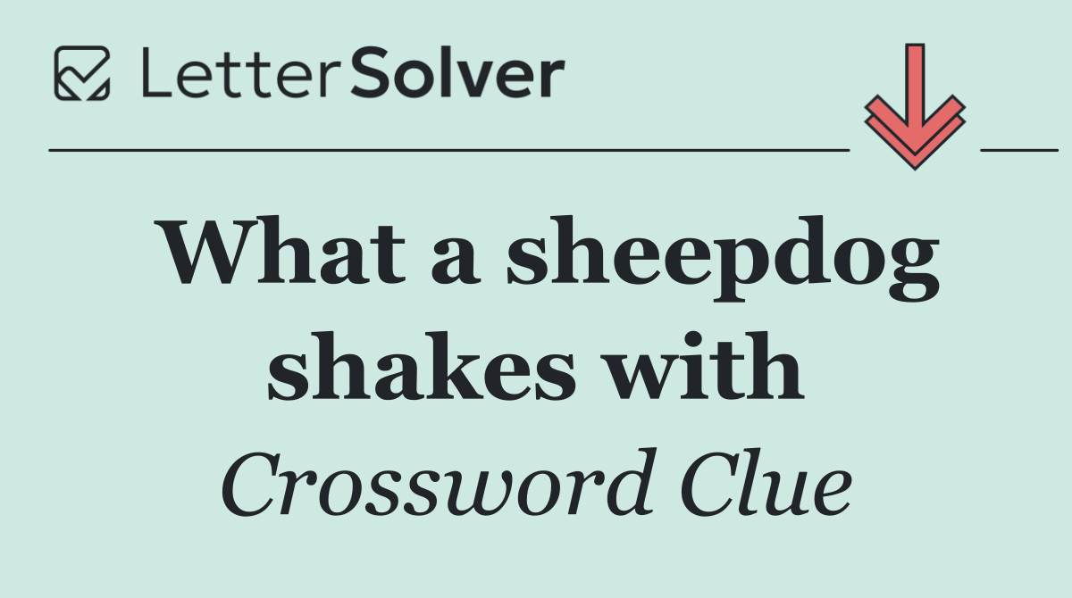 What a sheepdog shakes with