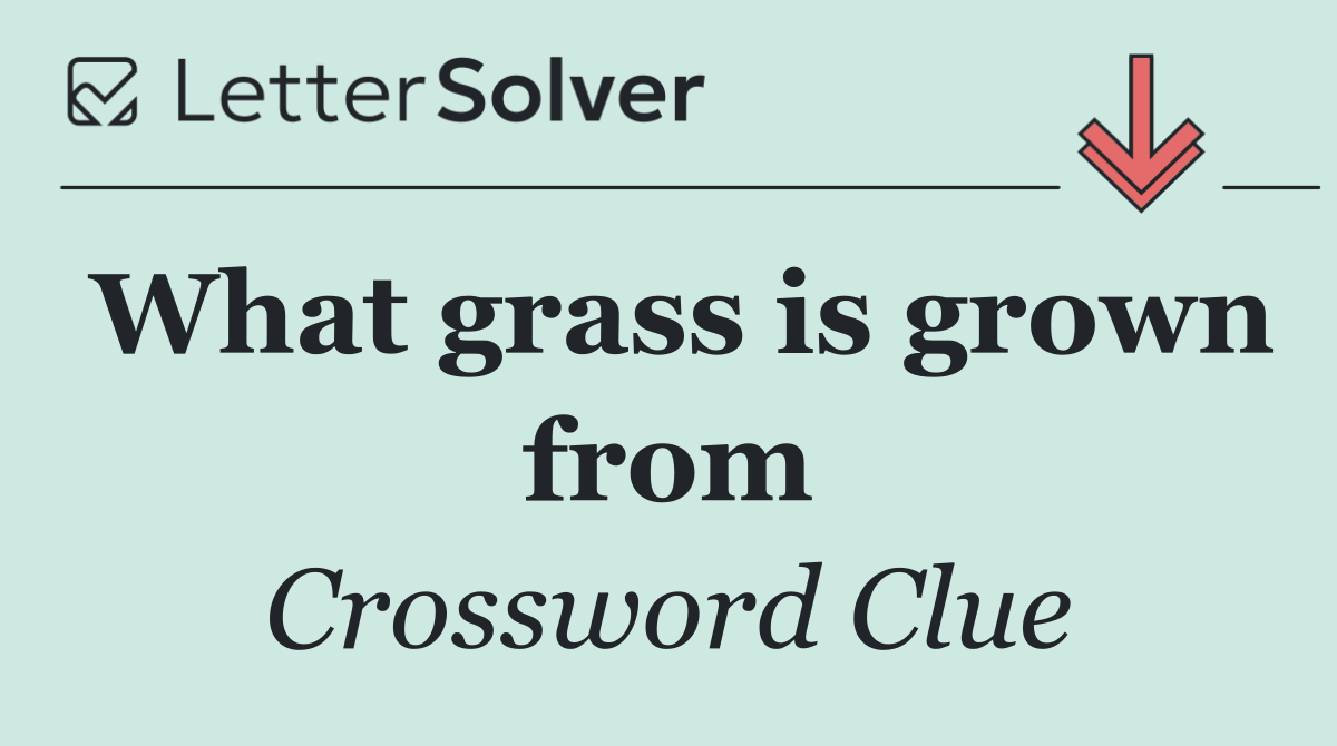 What grass is grown from