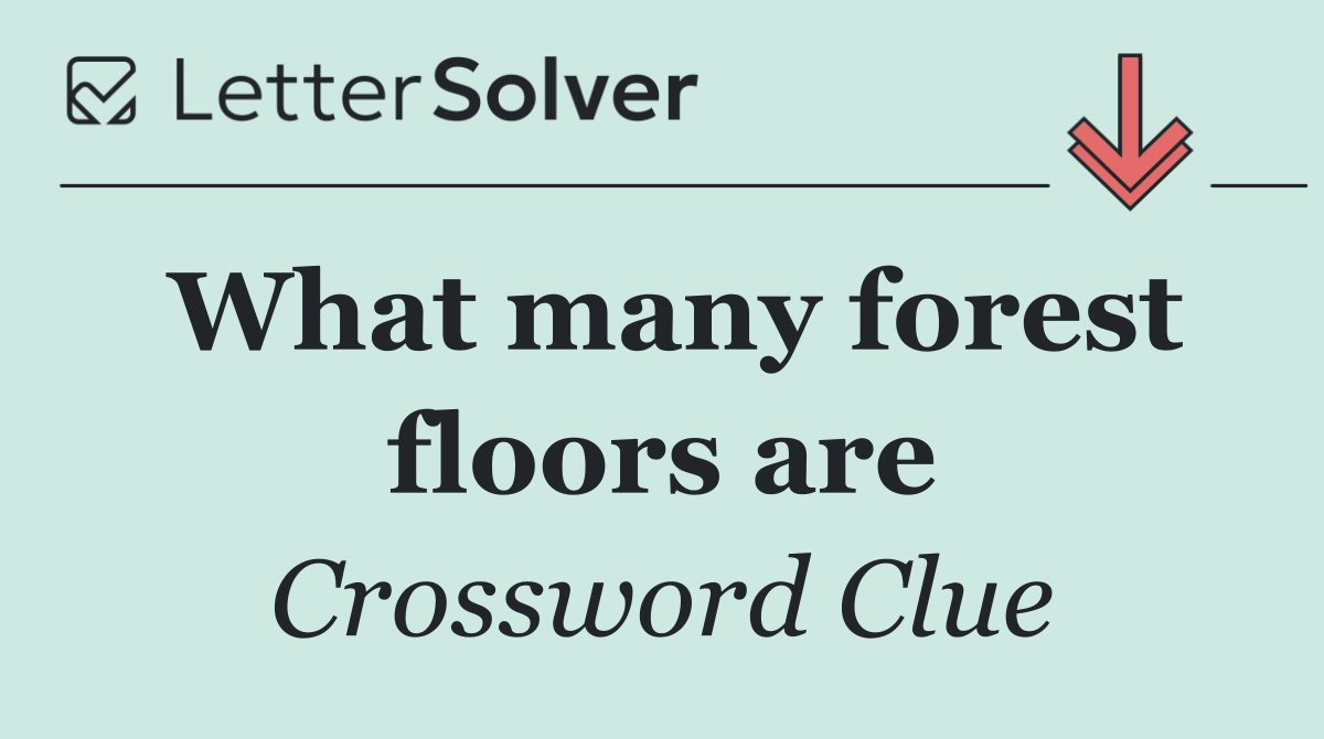What many forest floors are