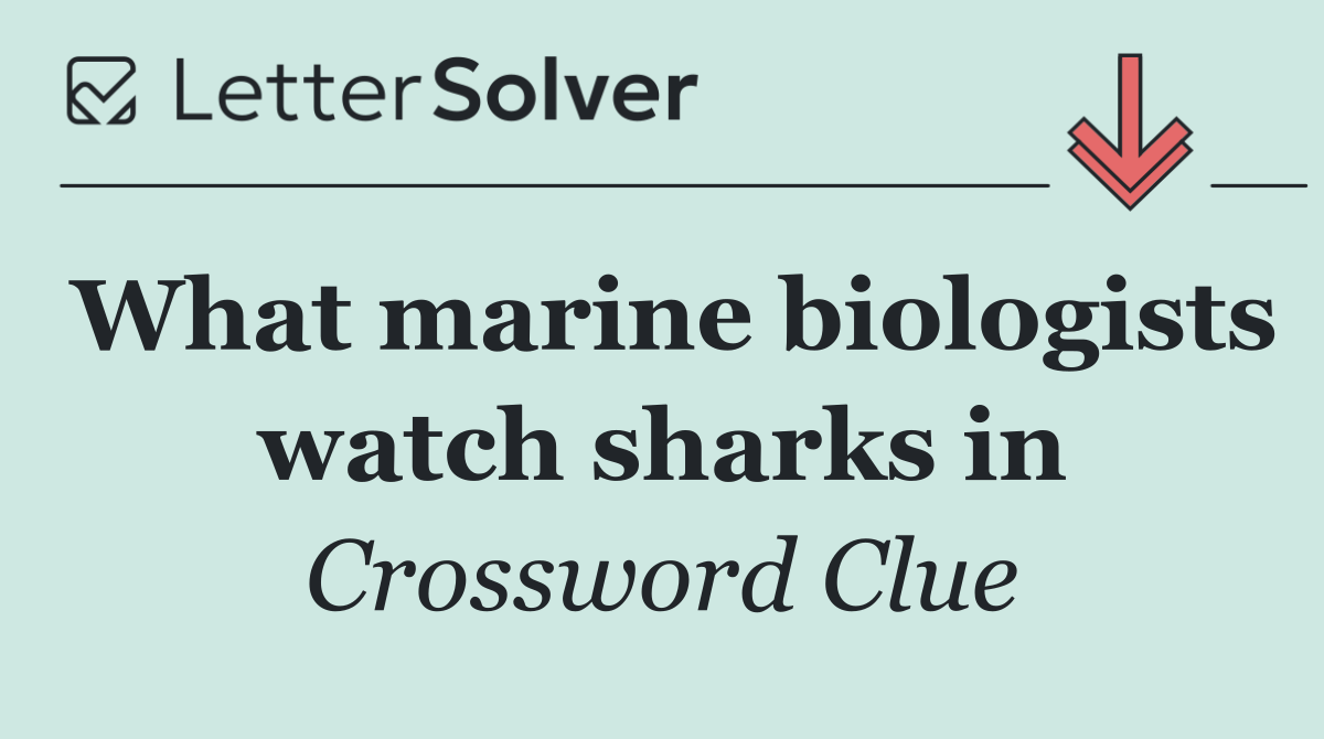 What marine biologists watch sharks in