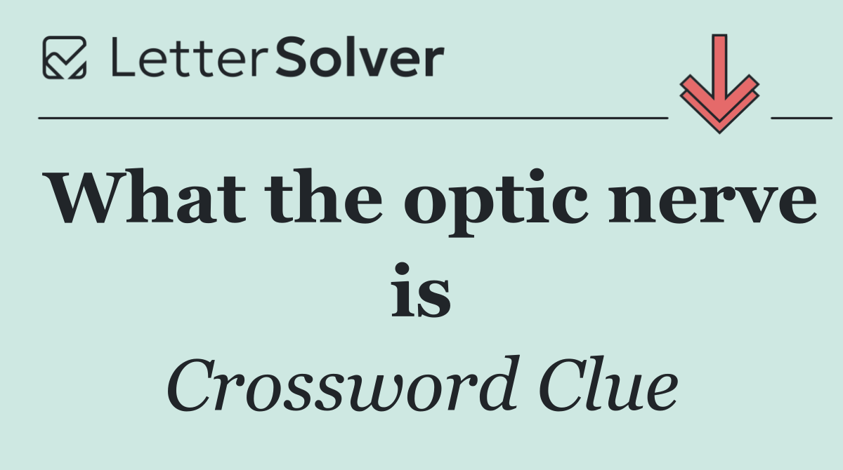 What the optic nerve is