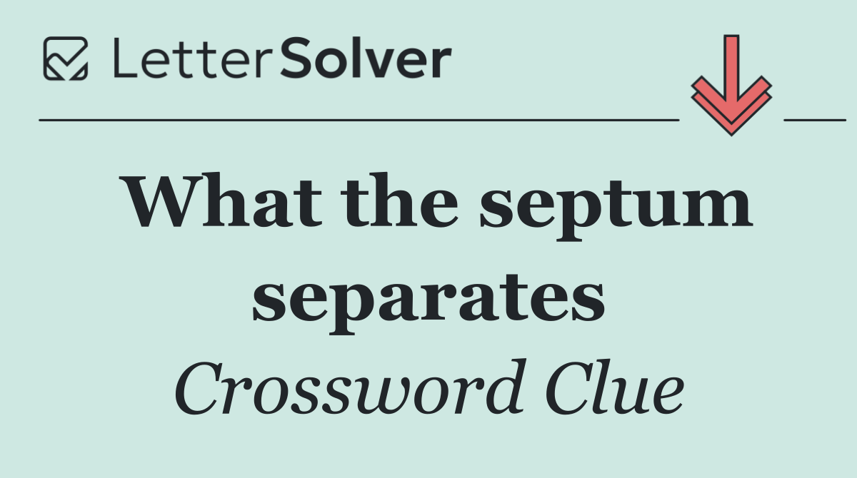 What the septum separates