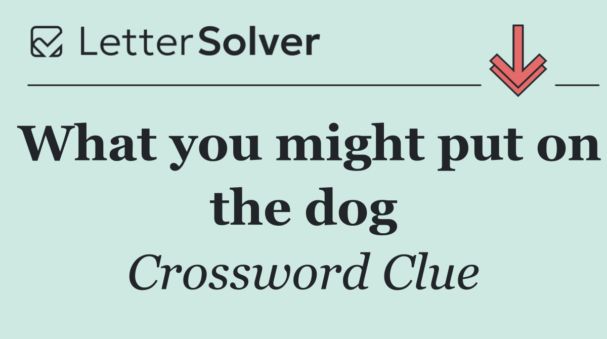 What you might put on the dog