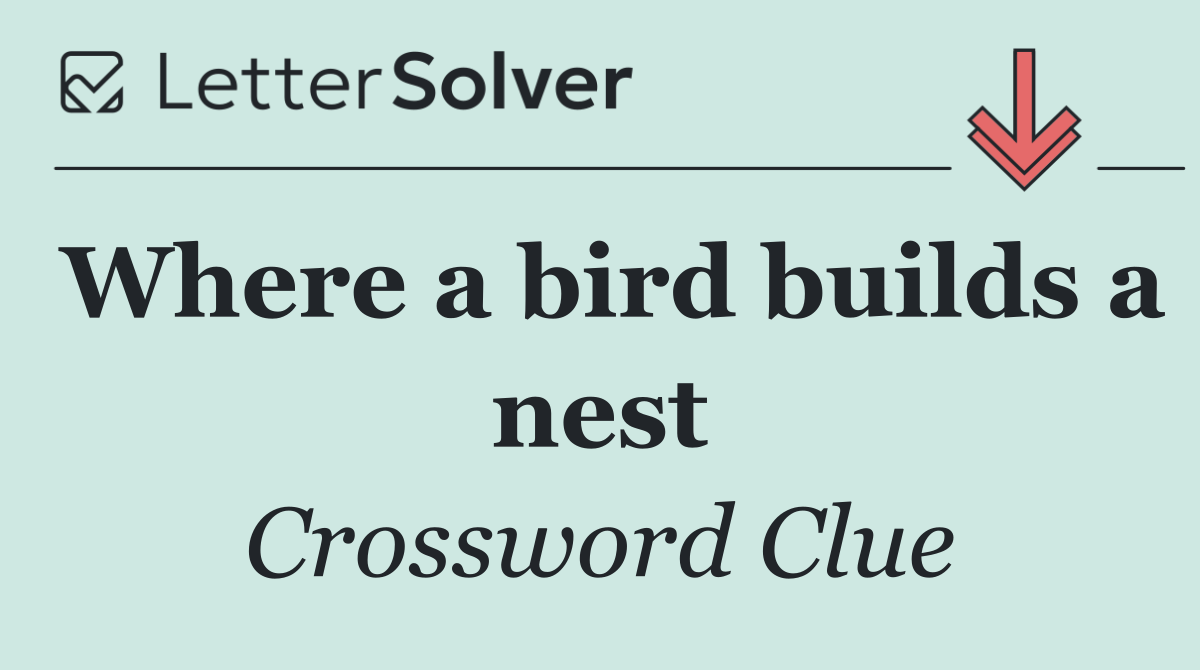 Where a bird builds a nest