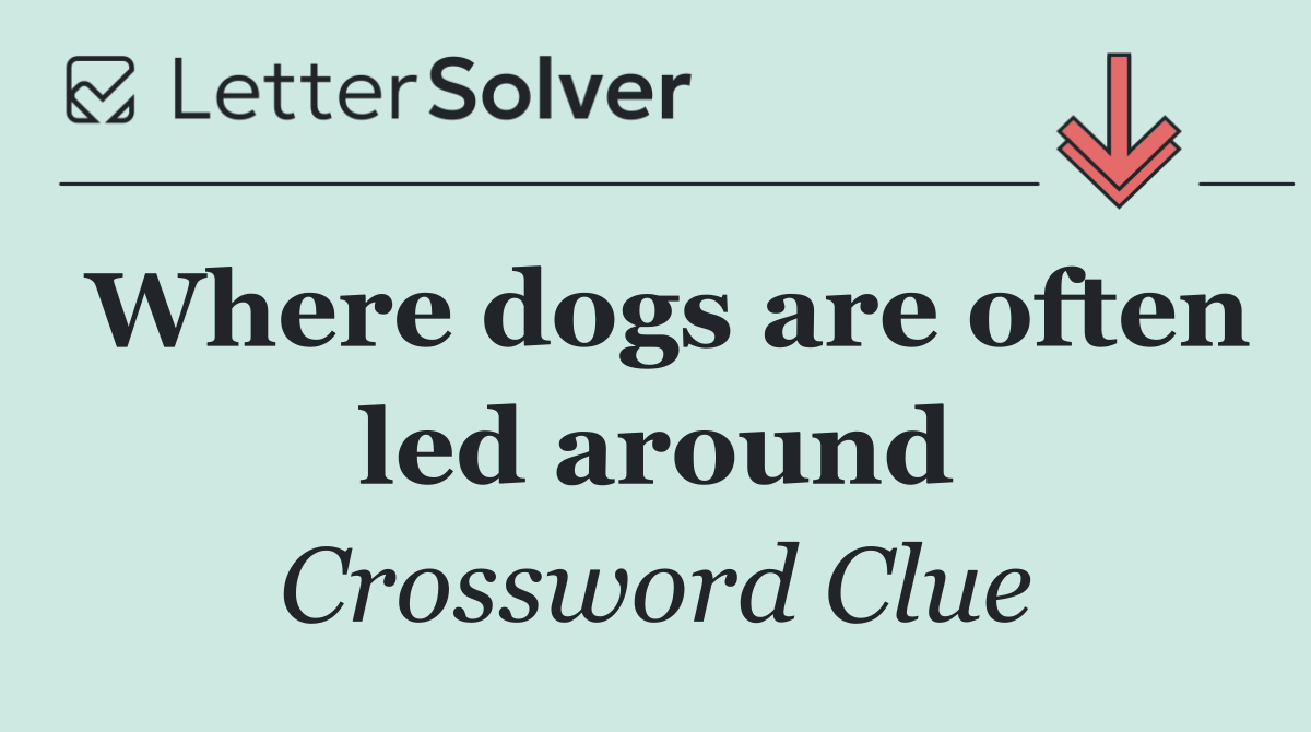 Where dogs are often led around