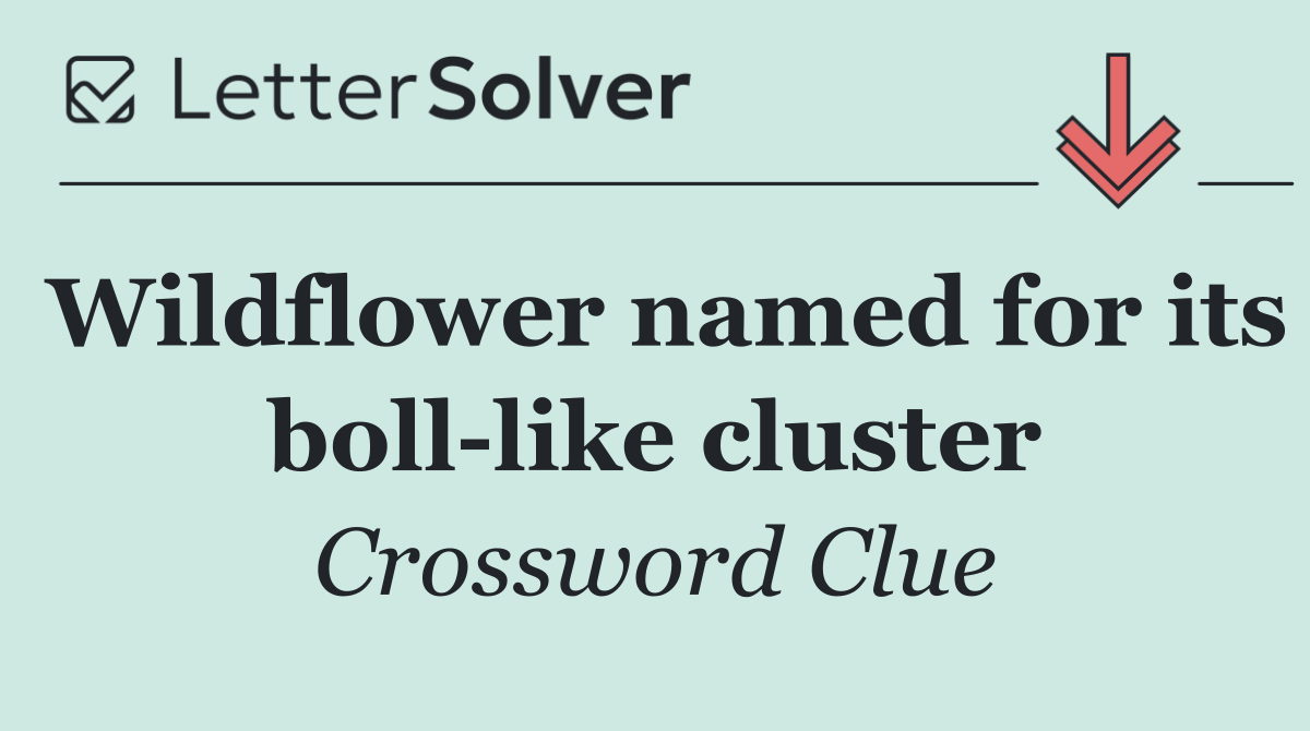 Wildflower named for its boll like cluster
