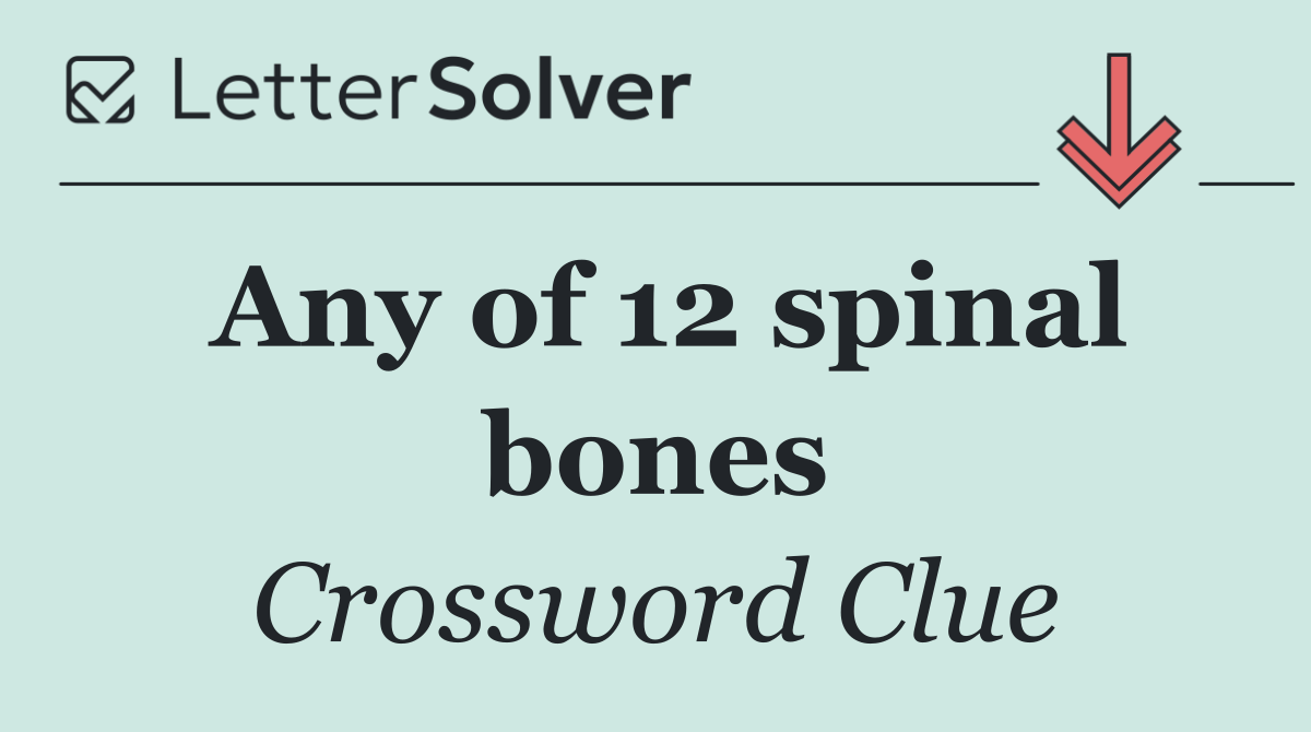 Any of 12 spinal bones