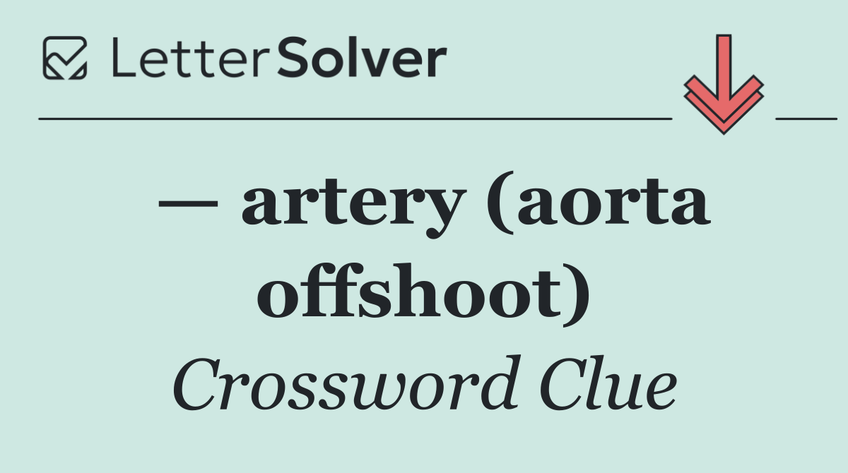— artery (aorta offshoot)