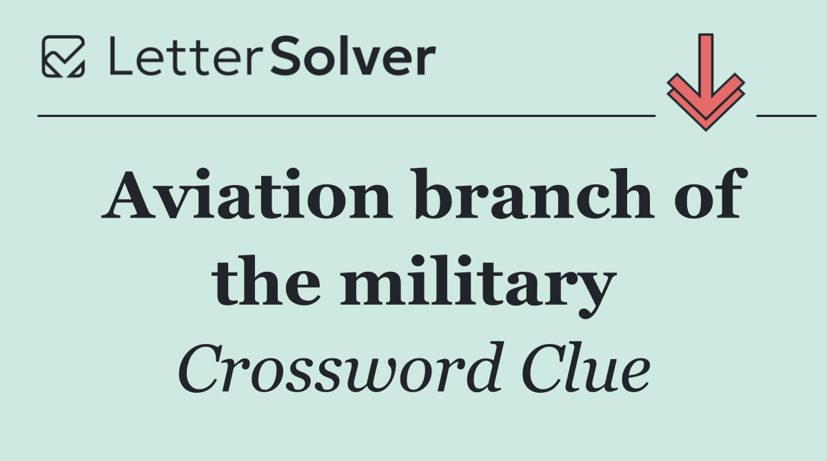 Aviation branch of the military