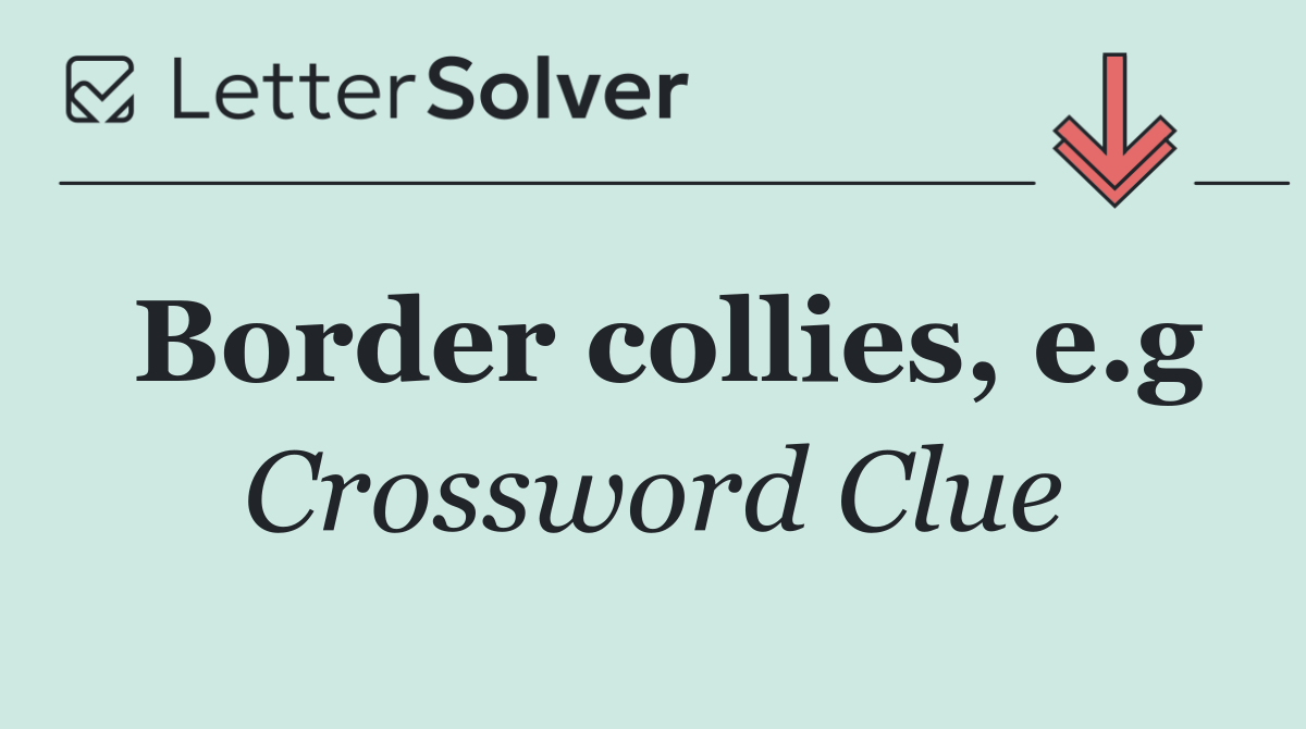Border collies, e.g