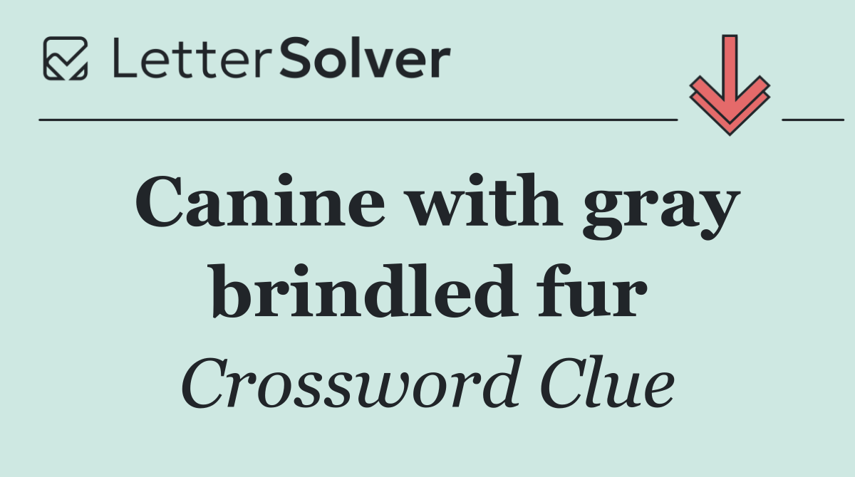 Canine with gray brindled fur
