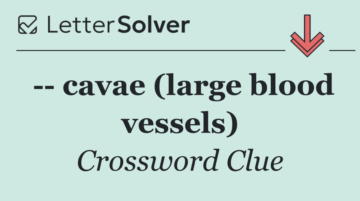    cavae (large blood vessels)