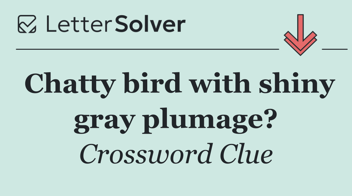 Chatty bird with shiny gray plumage?