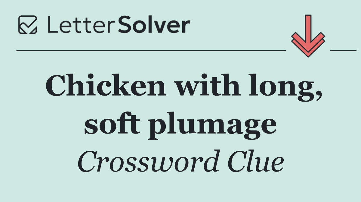 Chicken with long, soft plumage