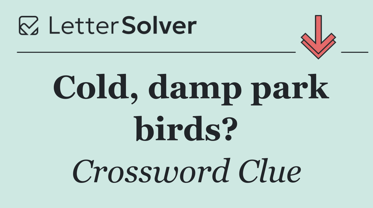 Cold, damp park birds?