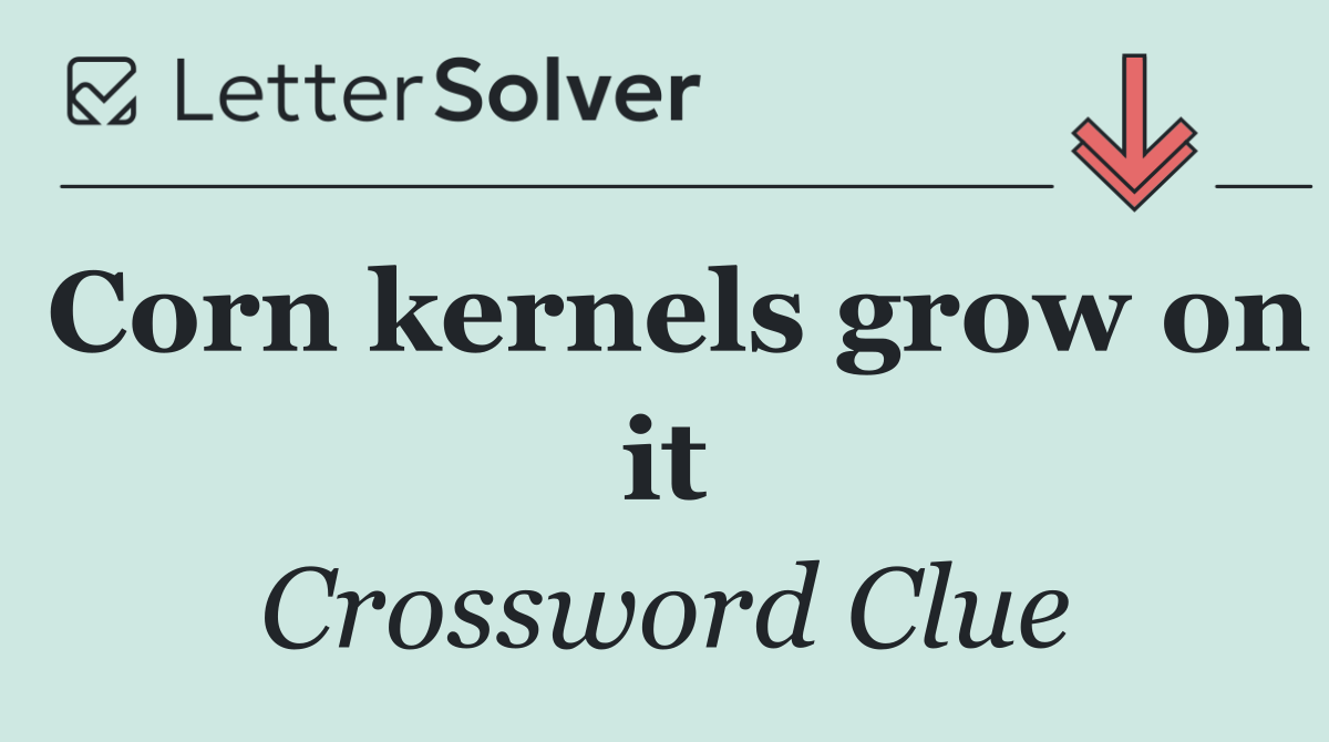 Corn kernels grow on it
