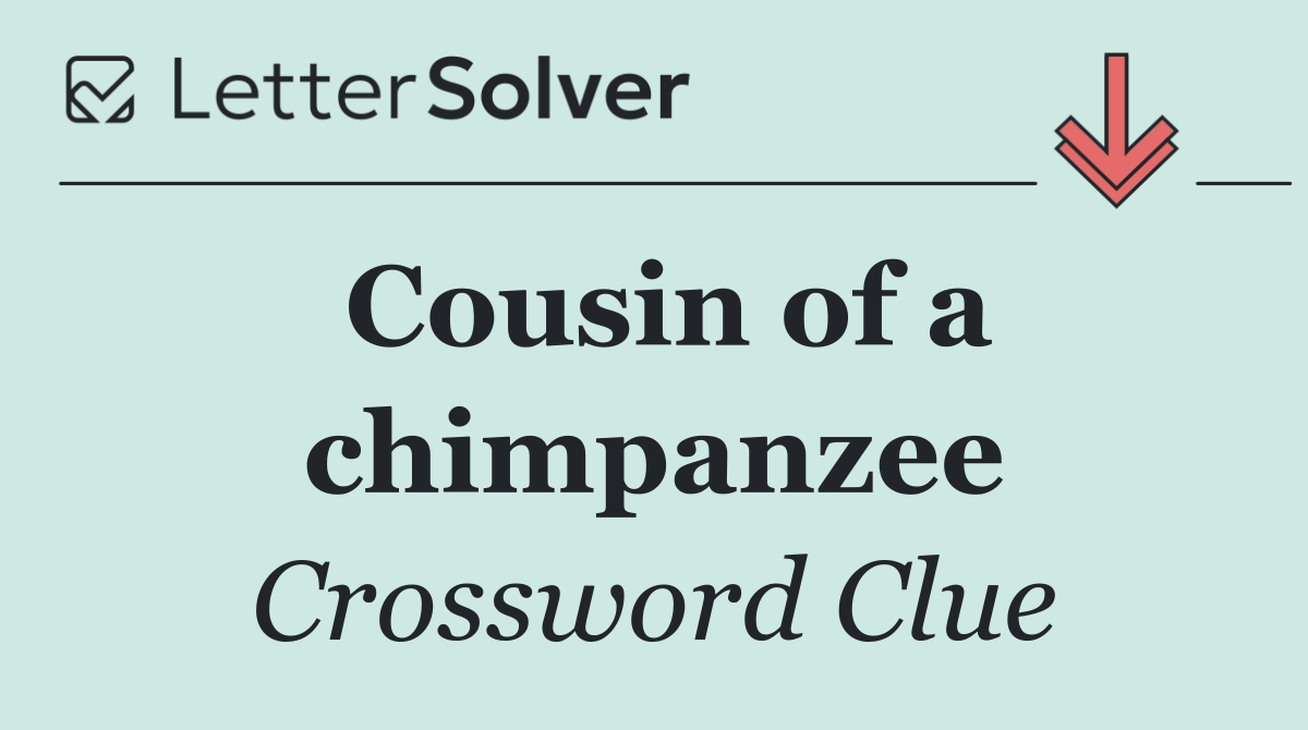Cousin of a chimpanzee