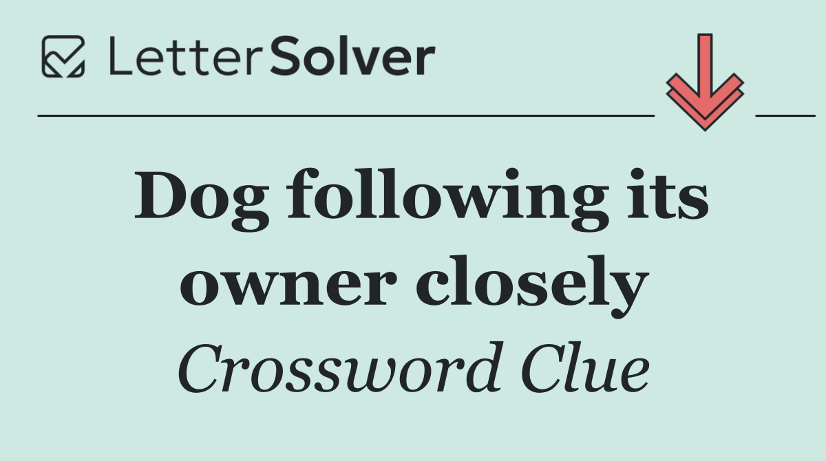 Dog following its owner closely