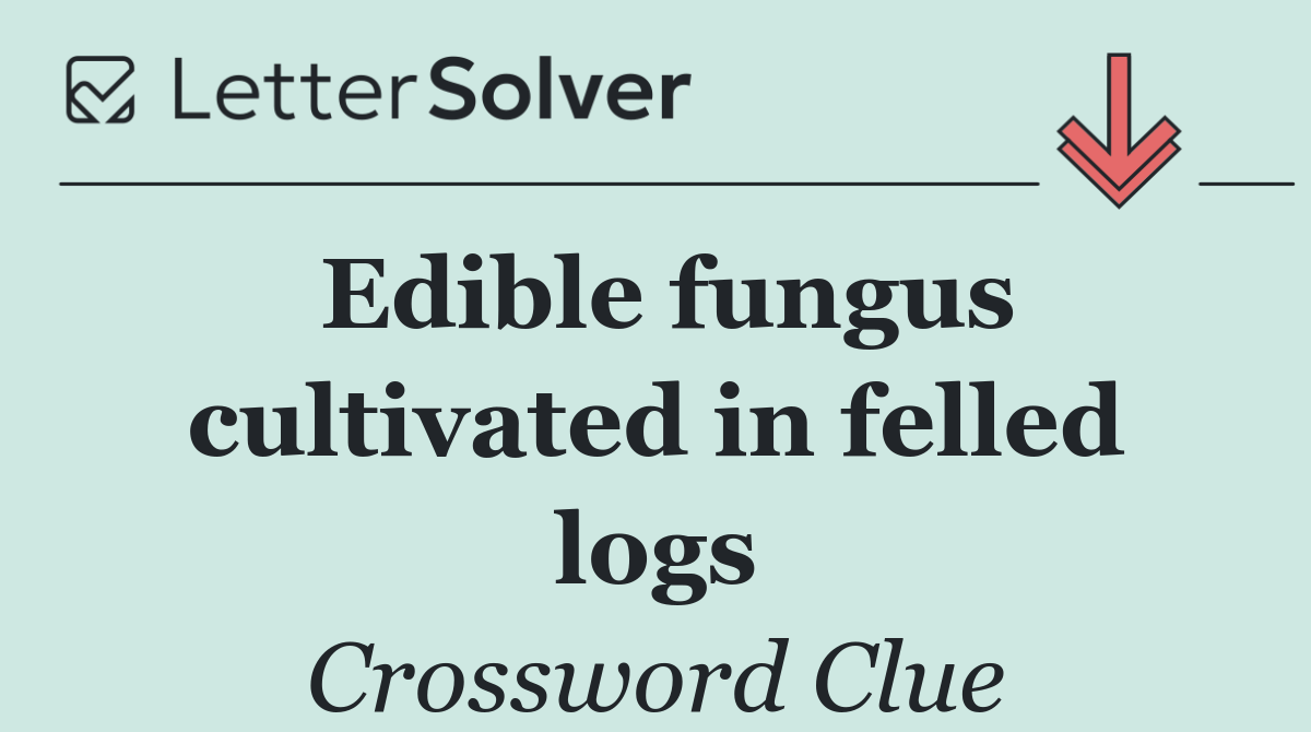 Edible fungus cultivated in felled logs