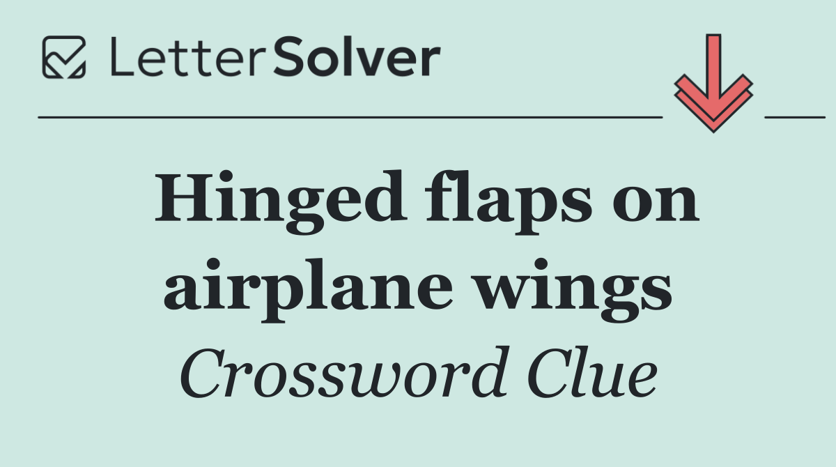 Hinged flaps on airplane wings