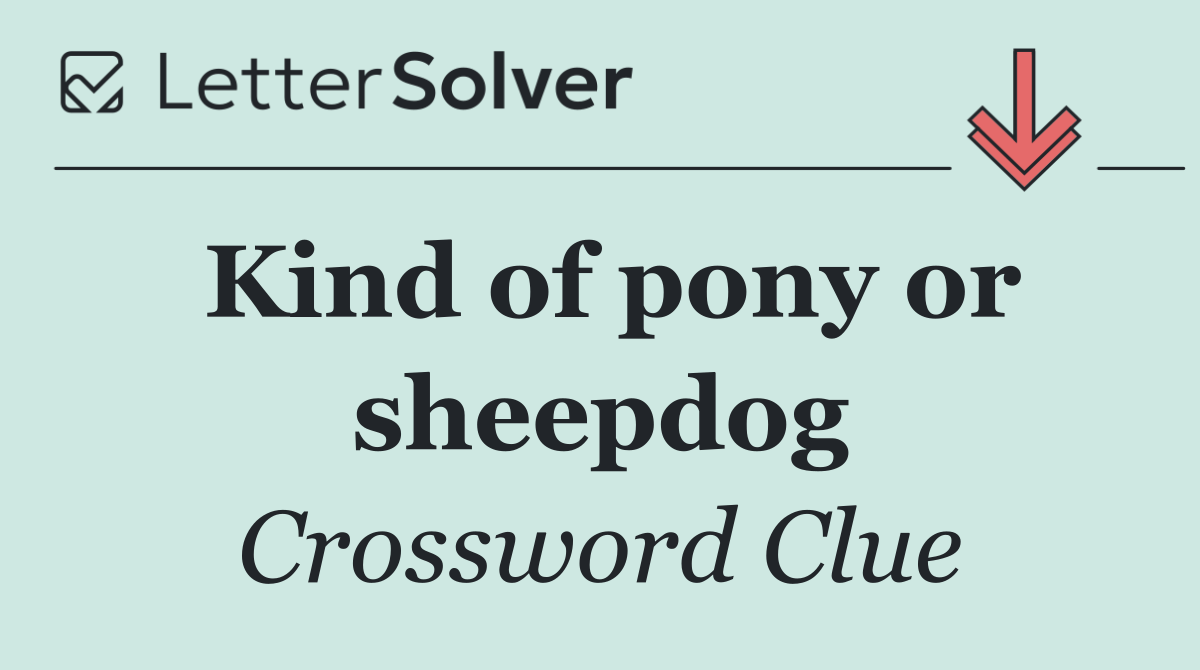 Kind of pony or sheepdog