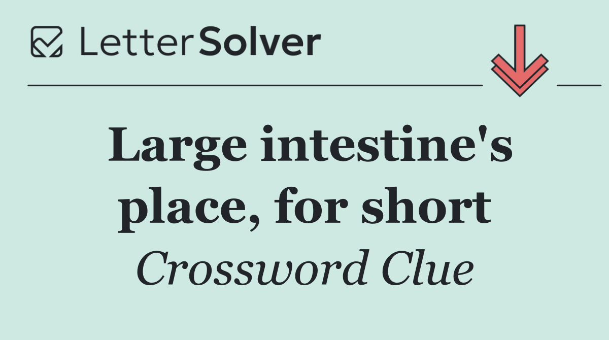 Large intestine's place, for short