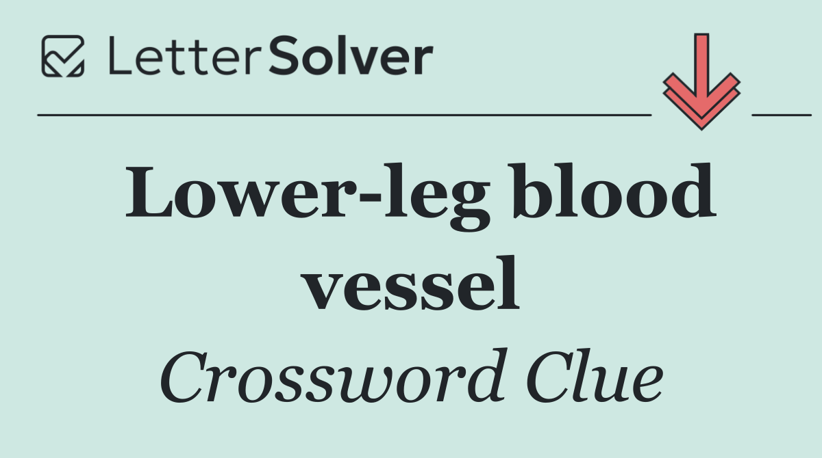 Lower leg blood vessel